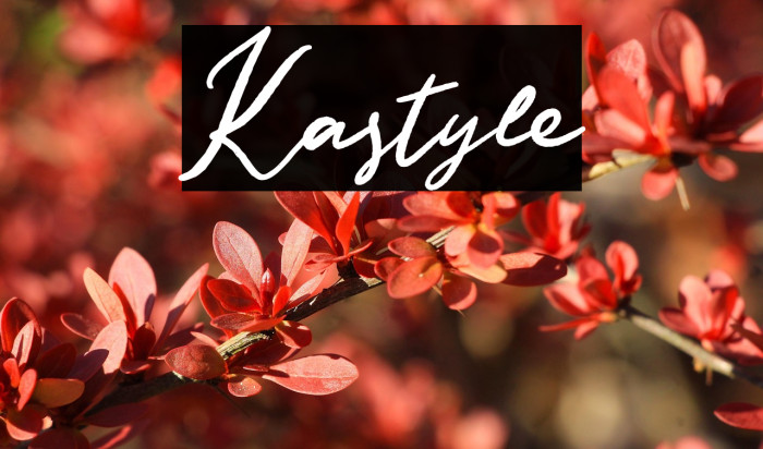 Kastyle Example 3