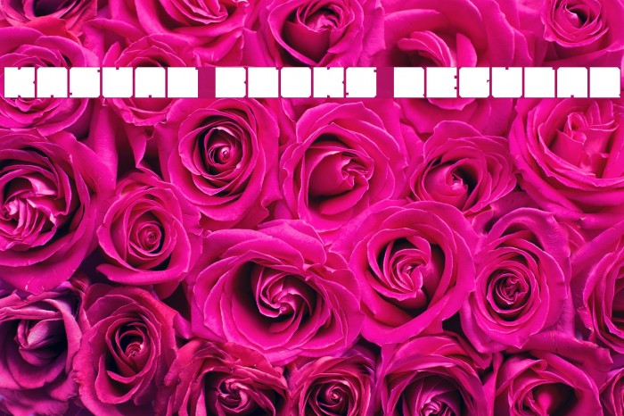 Kasual Bloks Regular Font examples