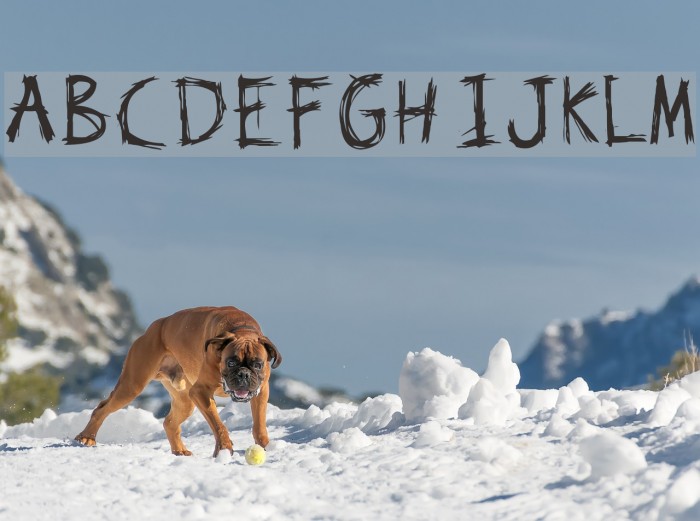 Kat Skratch Font examples