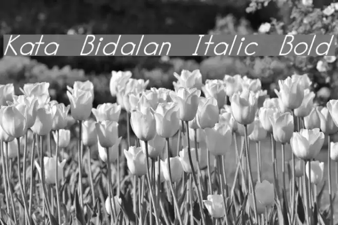 Kata Bidalan Italic Bold Font examples