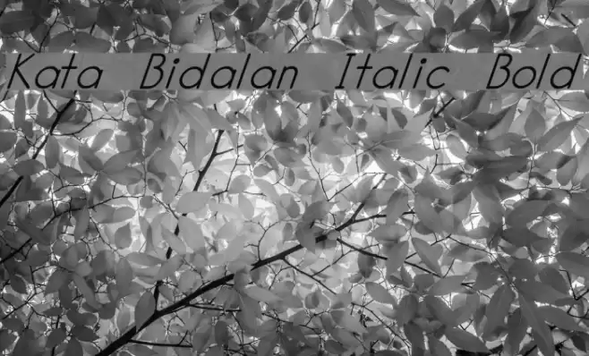 Kata Bidalan Italic Bold Font examples