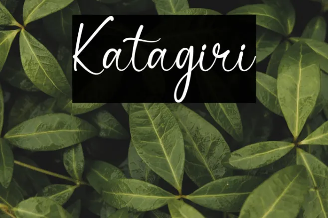 Katagiri Example 1