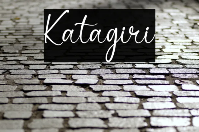 Katagiri Example 2
