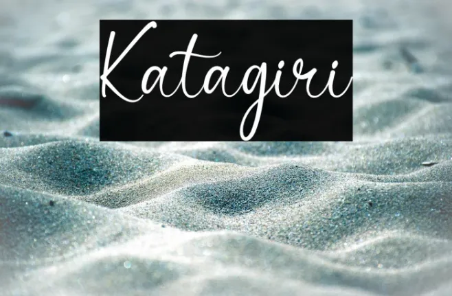 Katagiri Example 3