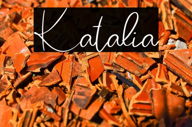 Katalia Example 1