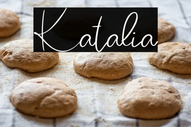 Katalia Example 2