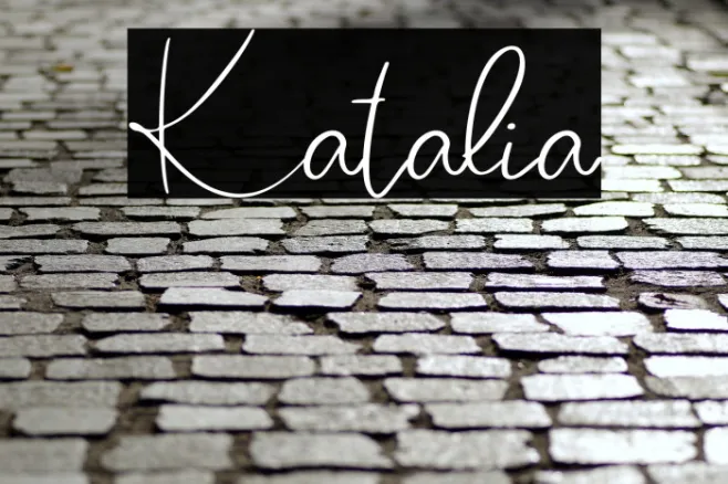 Katalia Example 3