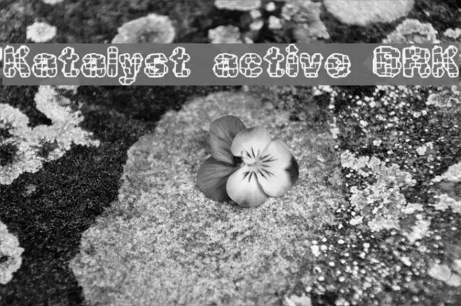 Katalyst active BRK Font examples