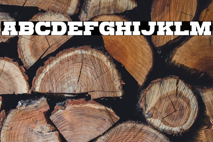 Katamari Serif Example 3