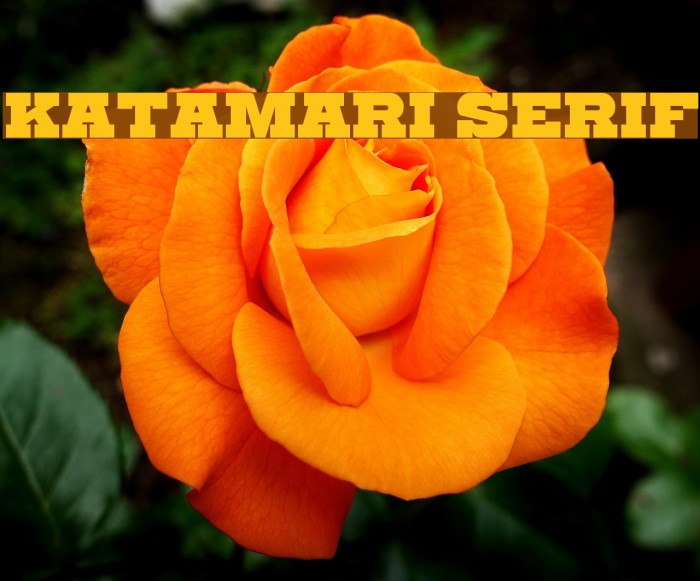 Katamari Serif Example 1