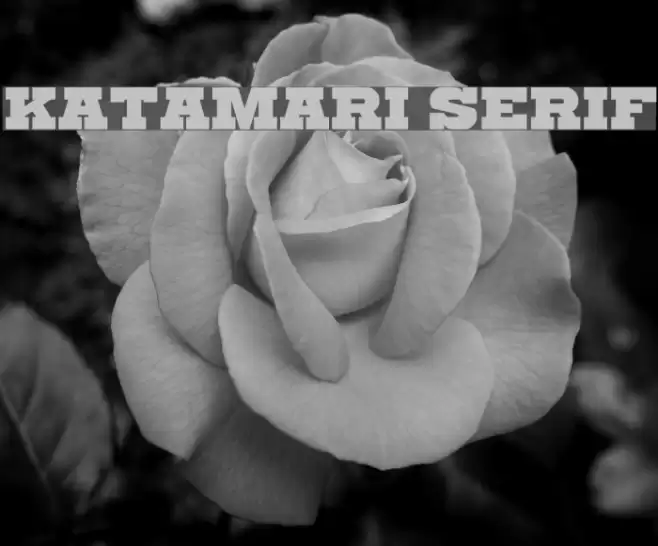 Katamari Serif Font examples