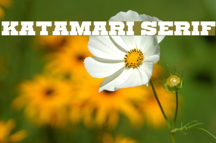 Katamari Serif Example 3