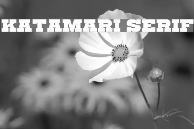 Katamari Serif Font examples