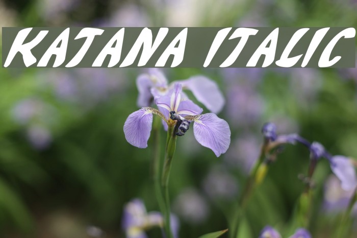 Katana Italic Font examples
