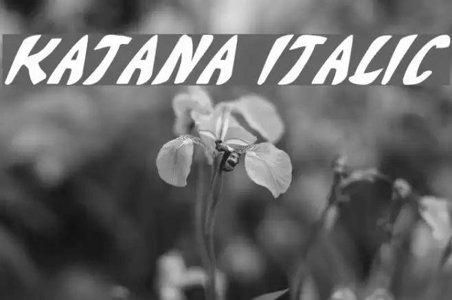 Katana Italic フォント examples