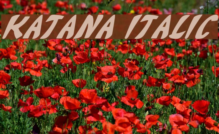 Katana Italic Font examples