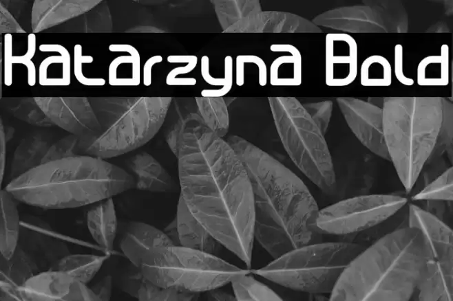 Katarzyna Bold Font examples