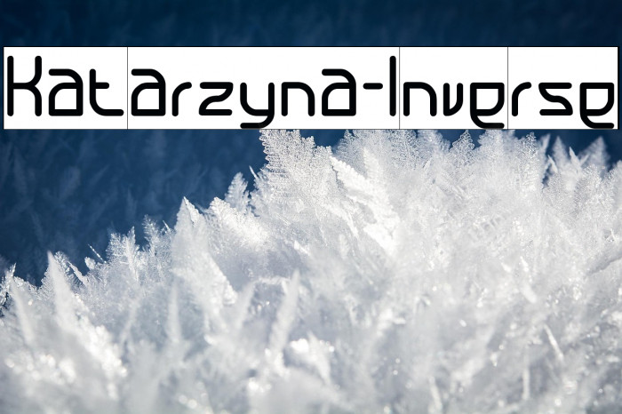 Katarzyna-Inverse Example 1