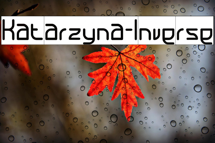 Katarzyna-Inverse Example 2