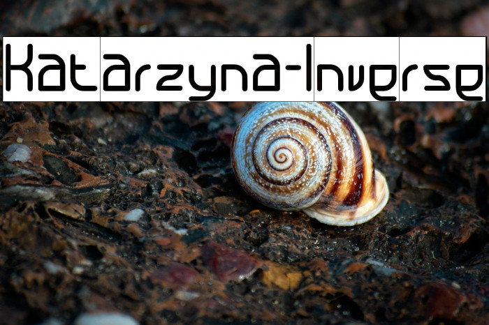 Katarzyna-Inverse Example 3