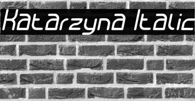 Katarzyna Italic Font examples