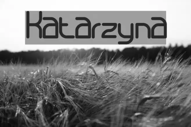 Katarzyna Font examples
