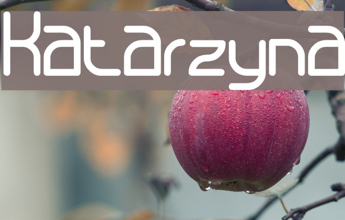 Katarzyna Font examples