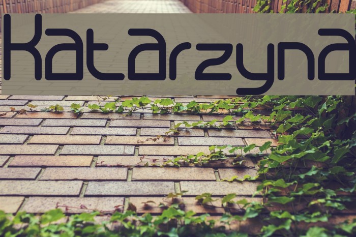 Katarzyna Font examples