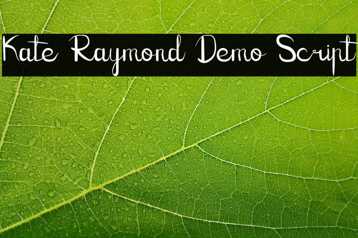 Kate Raymond Demo Script Example 1