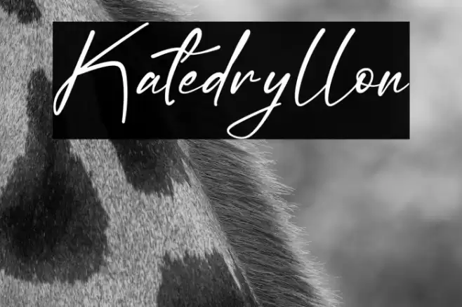 Katedryllon Caratteri examples