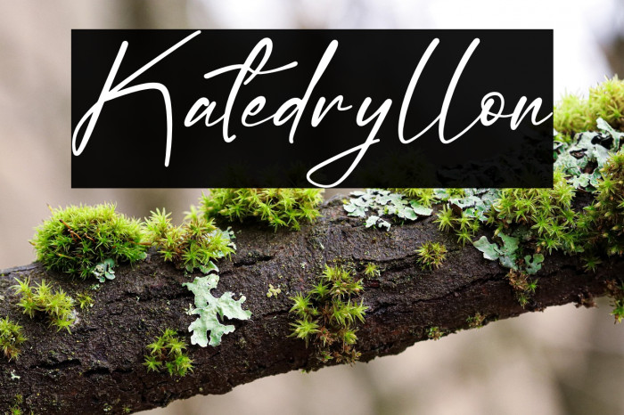 Katedryllon Example 3