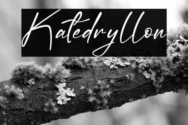 Katedryllon Caratteri examples