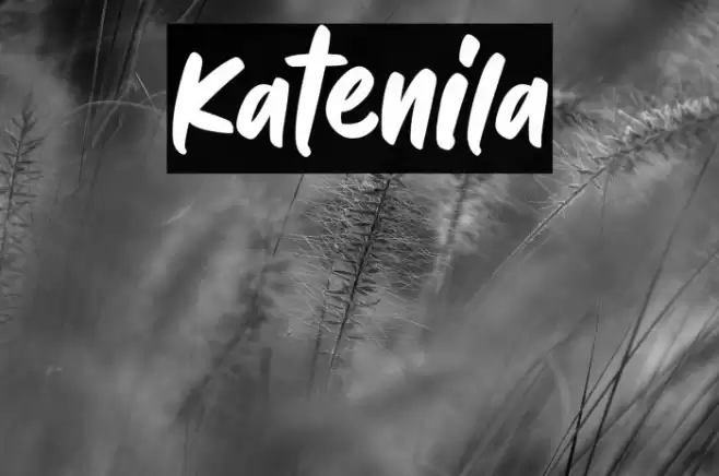 Katenila Font examples