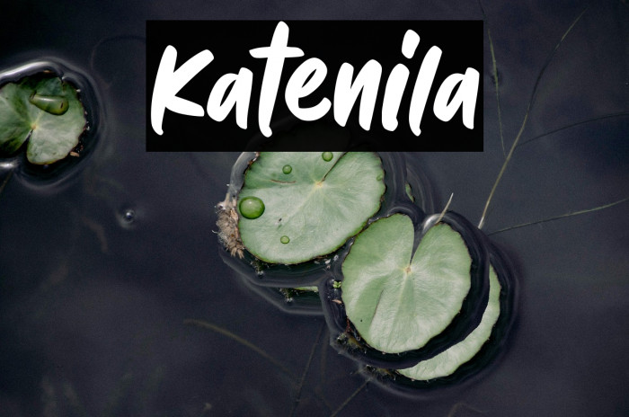 Katenila Example 2