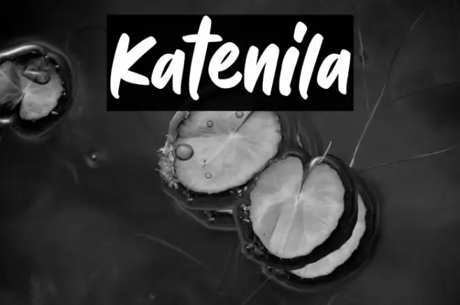 Katenila Font examples