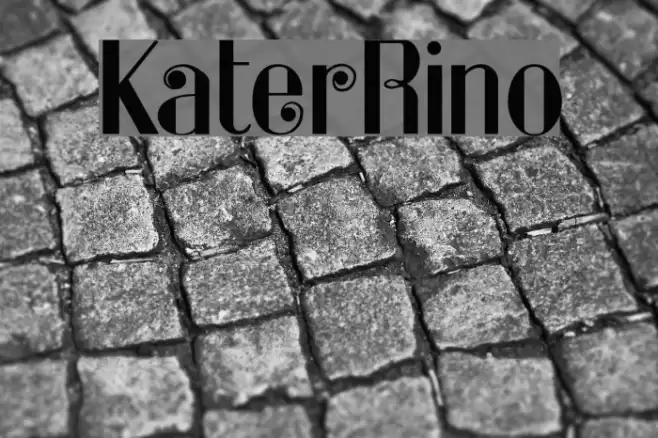KaterRino Font examples