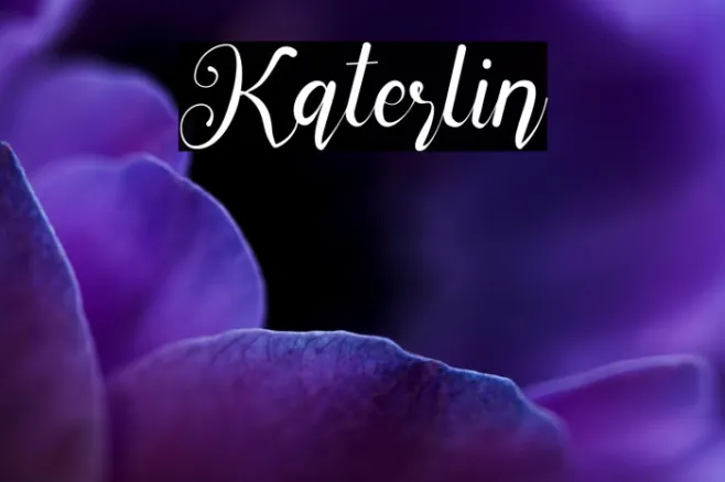 Katerlin Example 1