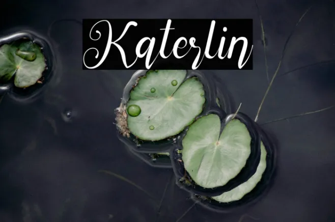 Katerlin Example 2