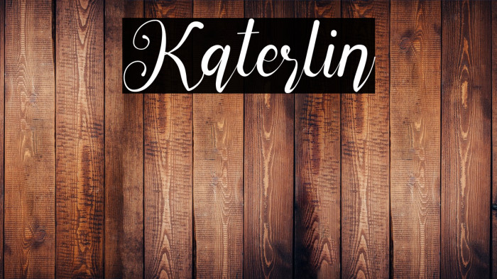 Katerlin Example 3