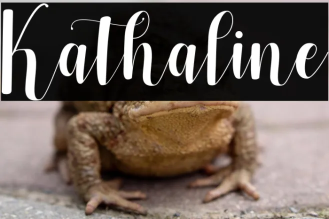 Kathaline Example 3