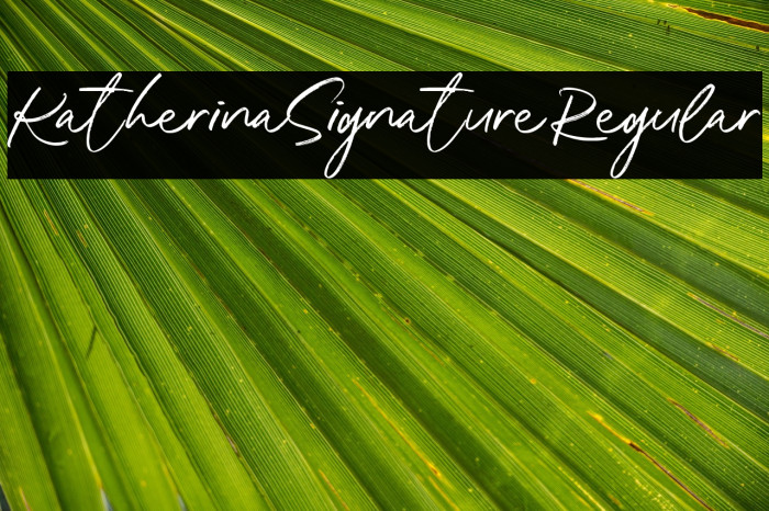 Katherina Signature Regular Example 1