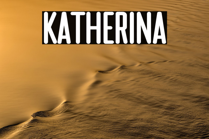 Katherina Example 1