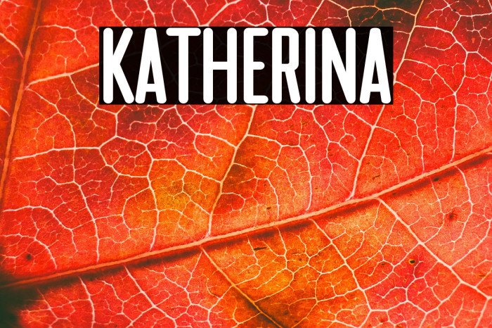 Katherina Example 2