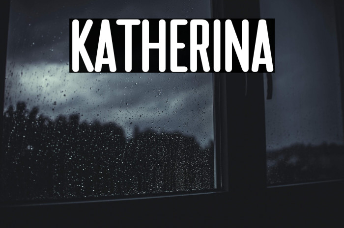 Katherina Example 3