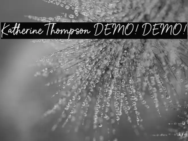 Katherine Thompson DEMO! DEMO! 字体 examples