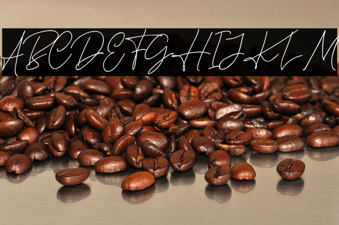 KatherineFree Example 2