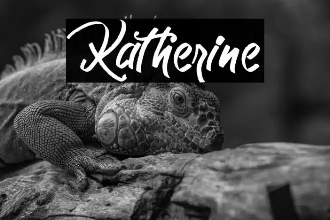 Katherine Font examples