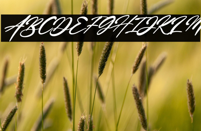 Katherinna Italic Example 2