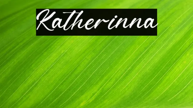 Katherinna Example 1