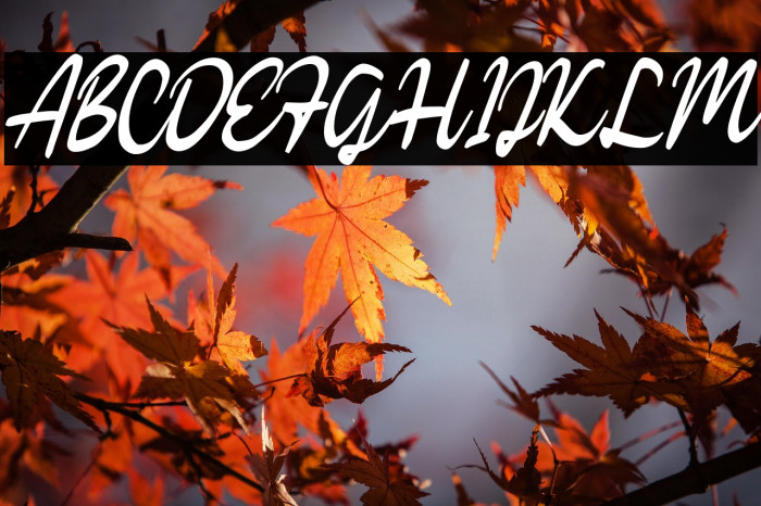 KathicaScriptDEMO-Regular Example 2